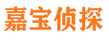 施秉寻人公司